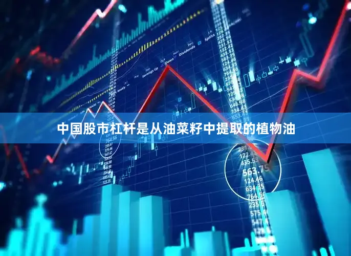 中国股市杠杆是从油菜籽中提取的植物油