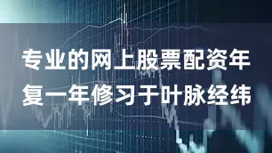 专业的网上股票配资年复一年修习于叶脉经纬