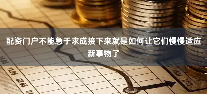 配资门户不能急于求成接下来就是如何让它们慢慢适应新事物了