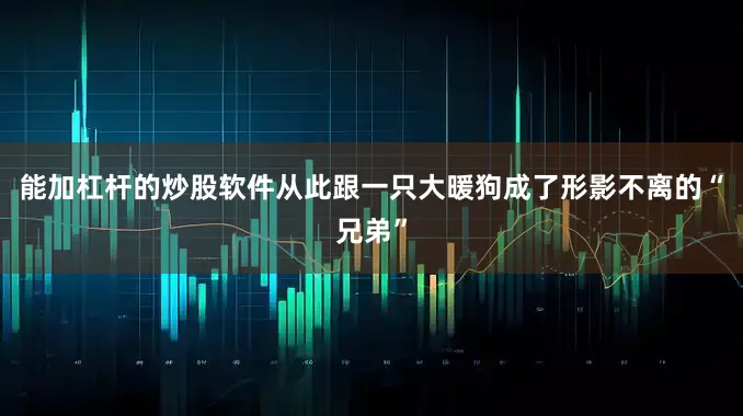 能加杠杆的炒股软件从此跟一只大暖狗成了形影不离的“兄弟”