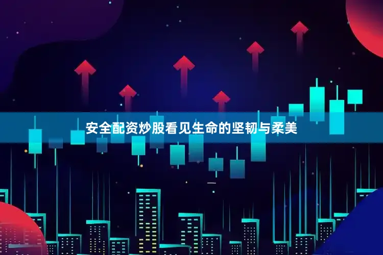 安全配资炒股看见生命的坚韧与柔美
