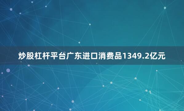 炒股杠杆平台广东进口消费品1349.2亿元