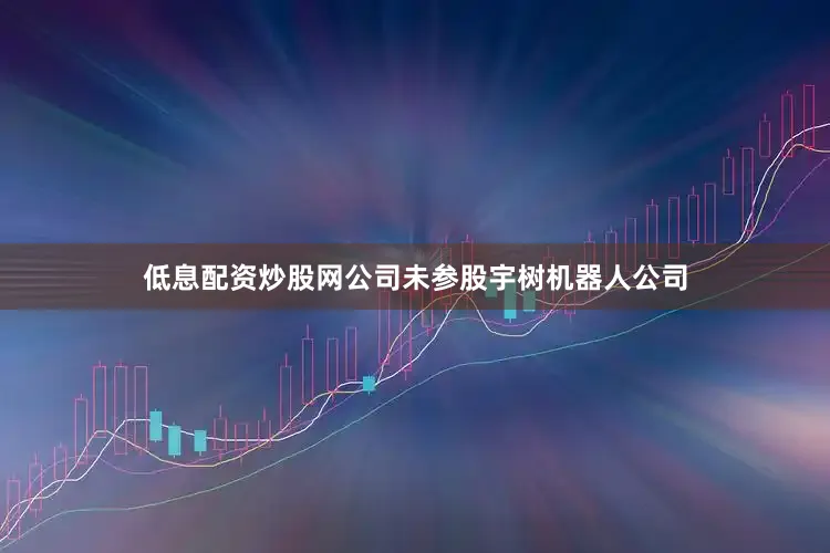 低息配资炒股网公司未参股宇树机器人公司