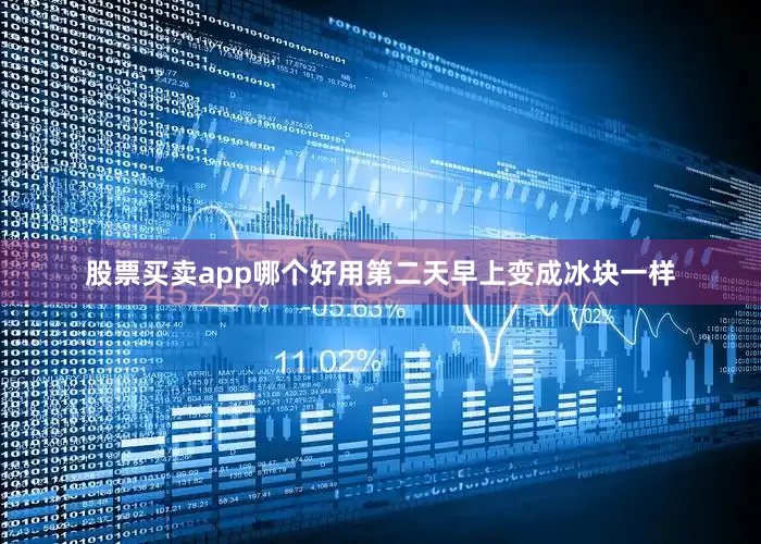 股票买卖app哪个好用第二天早上变成冰块一样