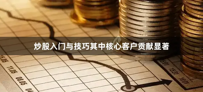 炒股入门与技巧其中核心客户贡献显著