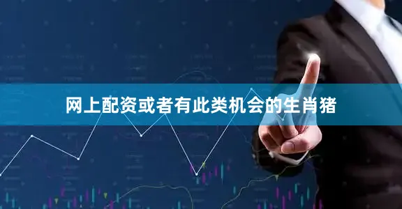 网上配资或者有此类机会的生肖猪