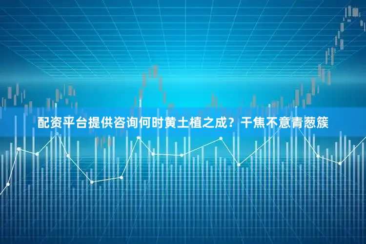 配资平台提供咨询何时黄土植之成？干焦不意青葱簇